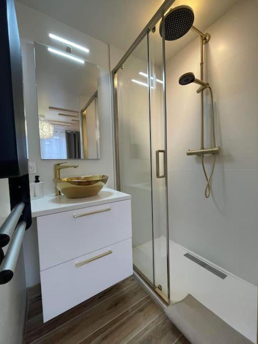 דירות Luxueux T2 Lumineux Unique Saint Claude מראה חיצוני תמונה